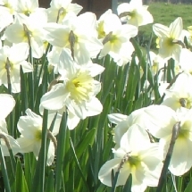 Charmehotel De stokerij te Oudenburg, West-Vlaanderen - Overnachten nabij Brugge, Oostende en De Haan
